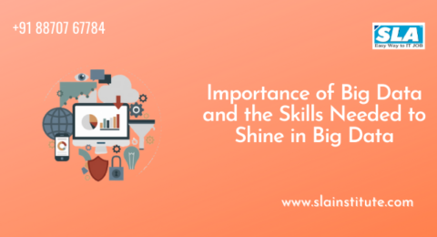 Importance of Big Data and the skills needed to shine