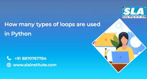 Role of Various Loops in Python
